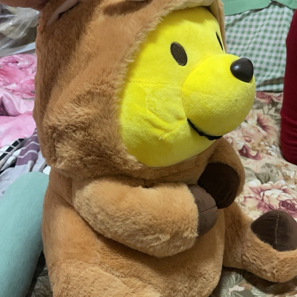 Winnie the Pooh Plush 🧡